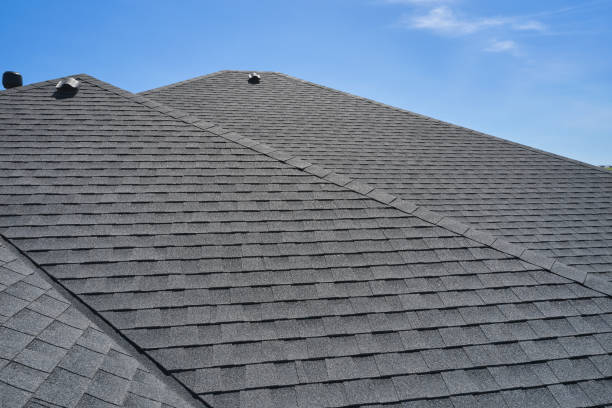Best Roof Moss and Algae Removal  in The College Of New Jersey, NJ