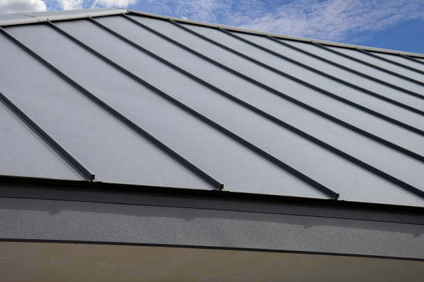 Best Skylight Installation and Repair  in The College Of New Jersey, NJ